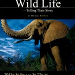 マイケル“ニック”ニコルズ写真展「Wild Life -Telling Their Story」