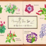 Humming bee page.2