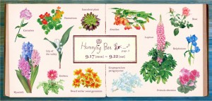 Humming Bee page.3