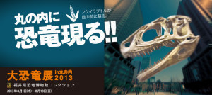 大恐竜展in丸の内2013 (5)