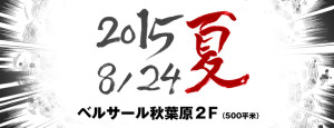 アキバ大好き！祭り2015夏 (3)