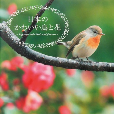 日本のかわいい鳥と花
