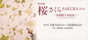 山種美術館 特別展　桜・さくら・SAKURA2012 (3)