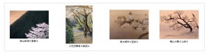山種美術館 特別展　桜・さくら・SAKURA2012 (1)