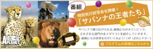 みんなのエネルギーフェスタ2012　みんエネ　UDX (6)