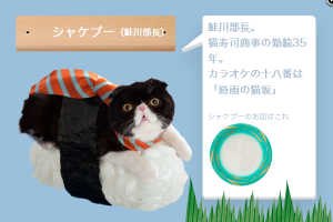 ネコすし　magical combination 不思議な算数　ネコずしニャー太の世界　Tokyo’s Tokyo　タンゲ＆泣き虫ピーナッツ (5)