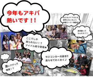 アキバ大好き！祭り2013年 迎春 (4)