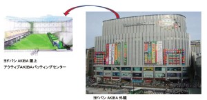 アクティブＡＫＩＢＡバッティングセンター (2)