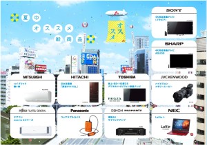 2013 夏の秋葉原電気街まつり (2)