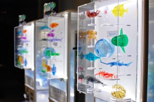 おさかな北斎漫画　すみだ水族館 (4)