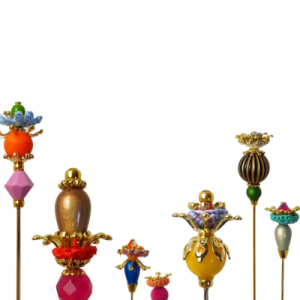 WANSAKA 　CIRCUS (1)