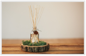 ムーミン谷　フレグランス (3)