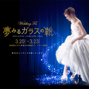 Wedding Fes～夢みるガラス靴～ (5)