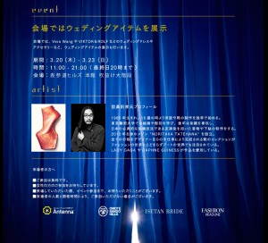 Wedding Fes～夢みるガラス靴～ (3)