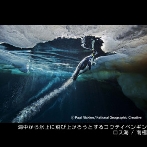 ポール・ニックレン