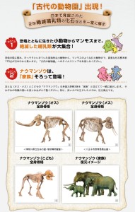 太古の哺乳類展 (5)