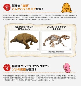 太古の哺乳類展 (4)