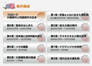 太古の哺乳類展 (2)