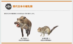 太古の哺乳類展 (1)