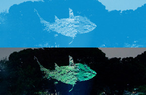 TRANS ARTS TOKYO2014 (6)