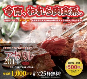 アキバル2014 vol.5 (3)