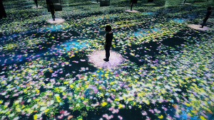 チームラボ　踊る！アート展と、学ぶ！未来の遊園地 (10)