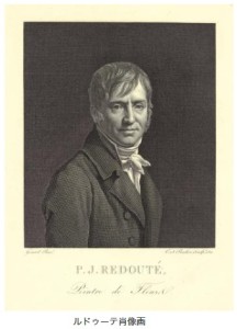 ルドゥーテ「美花選」展　花のラファエロ　バラのレンブラント (1)