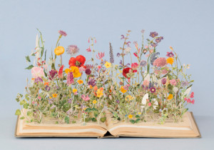 スー・ブラックウェル　Dwelling -すみか- (1)