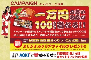 2015夏 秋葉原電気街まつり