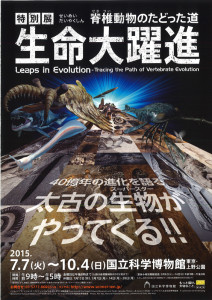 生命大躍進－脊椎動物のたどった道 (2)