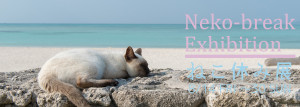 ねこ休み展 (4)