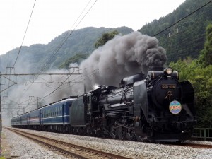 『鉄道フォトコンテスト』in LittleTGV (4)