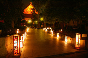 浅草燈籠会　ウイメンズパワー (3)