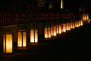 浅草燈籠会　ウイメンズパワー (2)