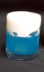 『鉄道フォトコンテスト』in LittleTGV (3)