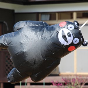 くまモン　キャラのぼり (1)