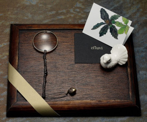 枝木ハンドルーペ　八洲光学工業 (1)