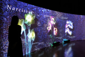 FLOWERS BY NAKED (5)