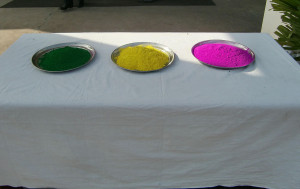 ホーリー祭　2016 (2)