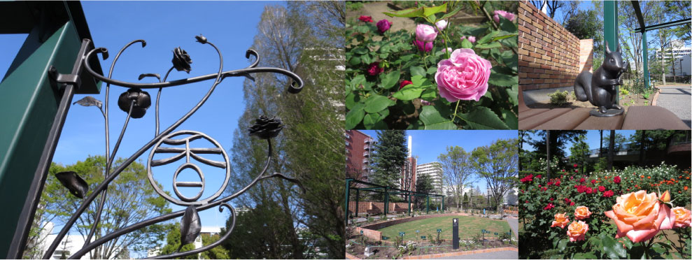 四季の香ローズガーデン