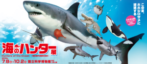 海のハンター展 —恵み豊かな地球の未来—