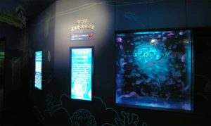 しながわ水ゾクゾクッ!館