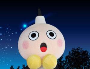 京都タワーLEDカラーライトアップ販売