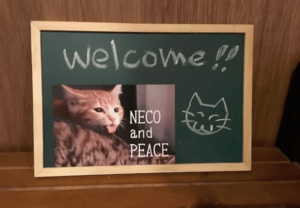 キャッツイン東京