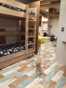 キャッツイン東京