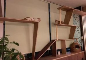 キャッツイン東京