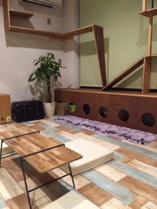 キャッツイン東京