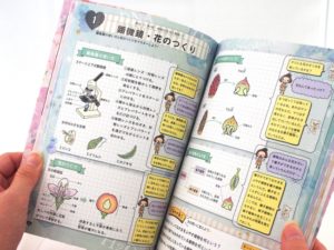 セシルマクビースタディコレクション