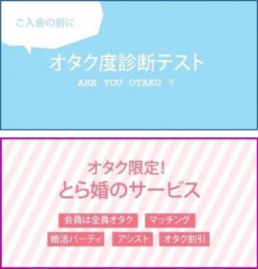 とら婚（とらこん）