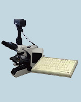 企画展「花粉と花粉症の科学」